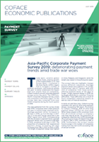 APAC-payment-Survey